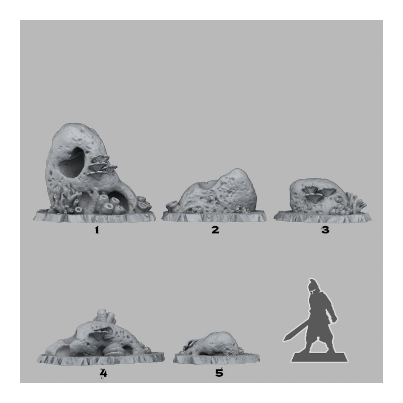 Fantastic Plants & Rocks -  