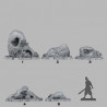 Fantastic Plants & Rocks -  