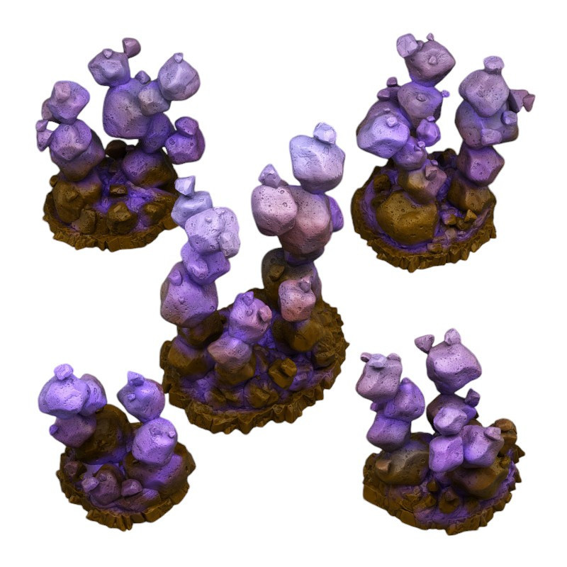 Fantastic Plants & Rocks -  