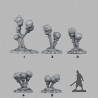 Fantastic Plants & Rocks -  