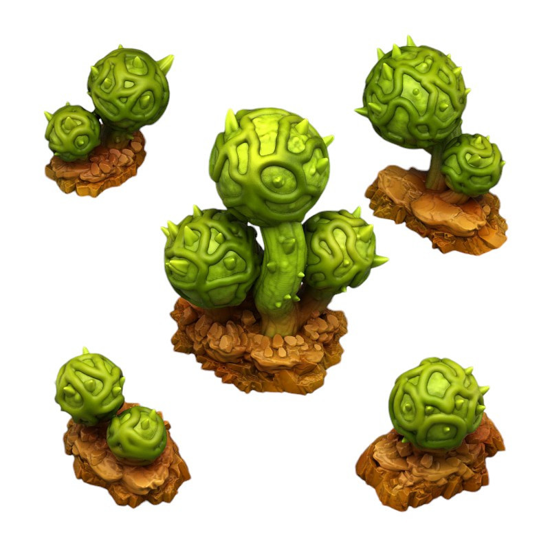 Fantastic Plants & Rocks -  