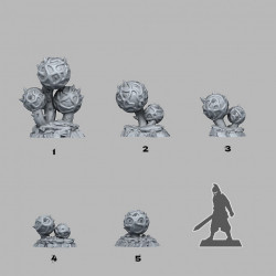 Fantastic Plants & Rocks -   (2)