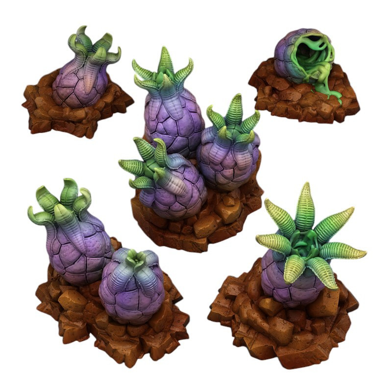 Fantastic Plants & Rocks -  