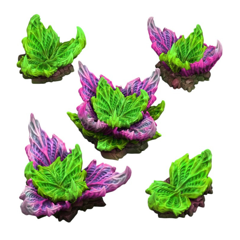 Fantastic Plants & Rocks -  