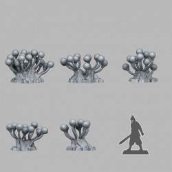 Fantastic Plants & Rocks -   (2)
