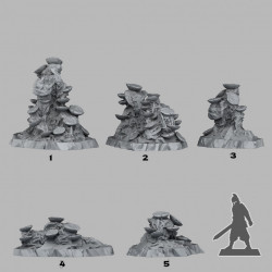Fantastic Plants & Rocks -   (2)