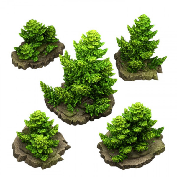 Fantastic Plants & Rocks -  