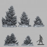 Fantastic Plants & Rocks -  