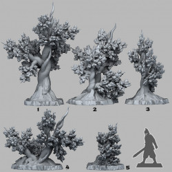 Fantastic Plants & Rocks -   (2)