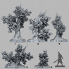 Fantastic Plants & Rocks -  