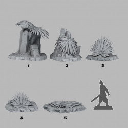 Fantastic Plants & Rocks -   (2)