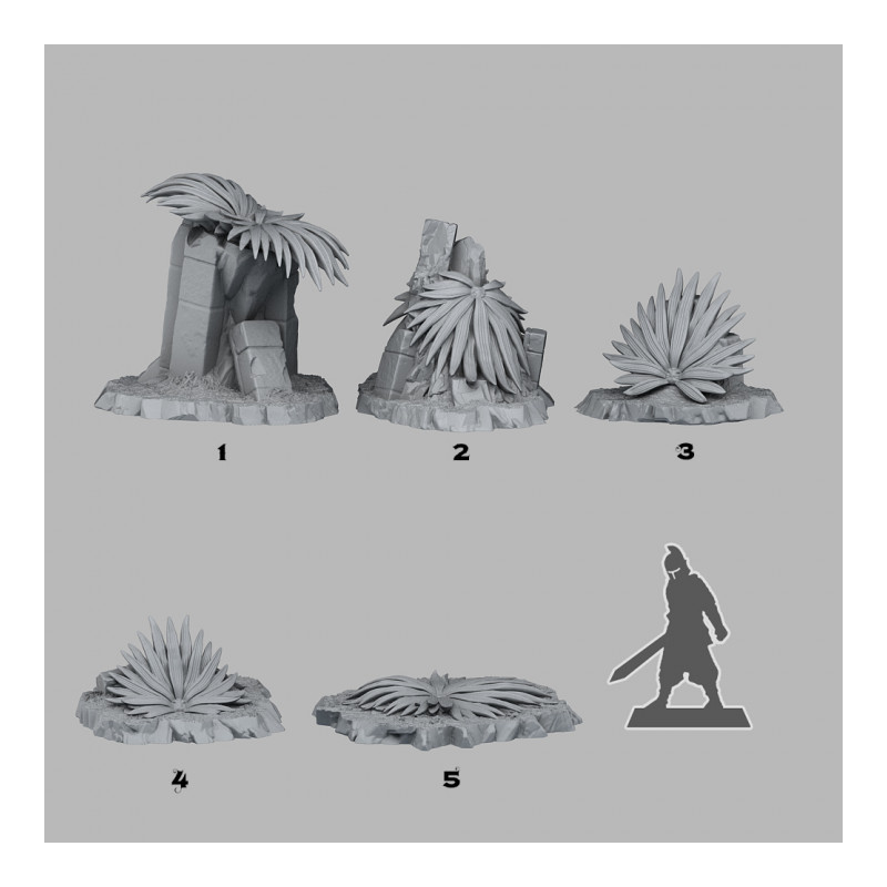 Fantastic Plants & Rocks -  