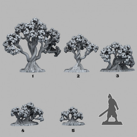 Fantastic Plants & Rocks -  