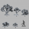 Fantastic Plants & Rocks -  