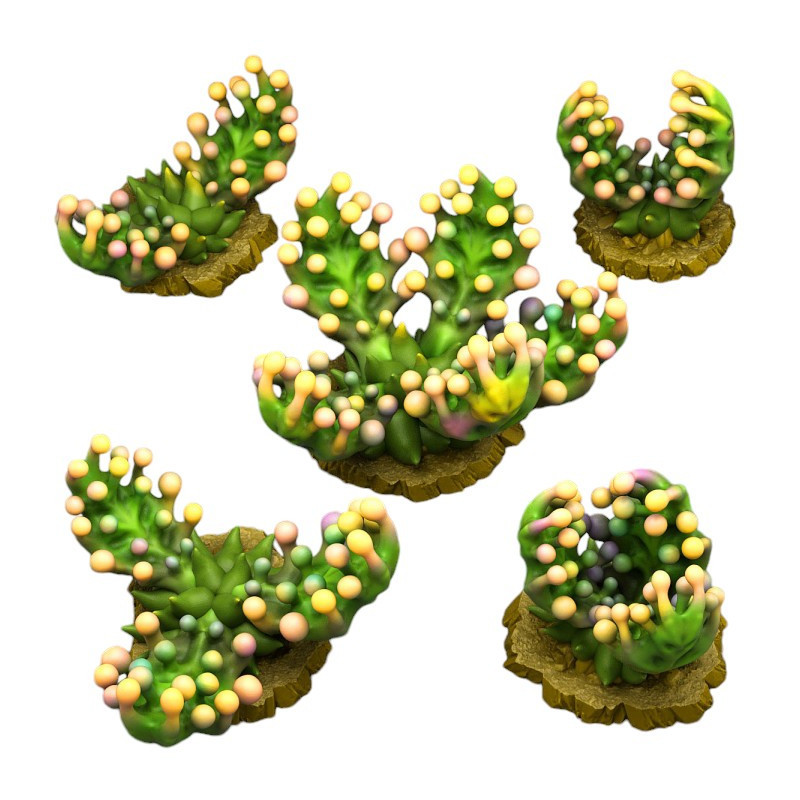 Fantastic Plants & Rocks -  