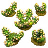 Fantastic Plants & Rocks -  