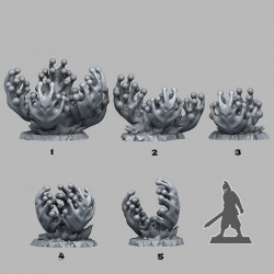 Fantastic Plants & Rocks -   (2)