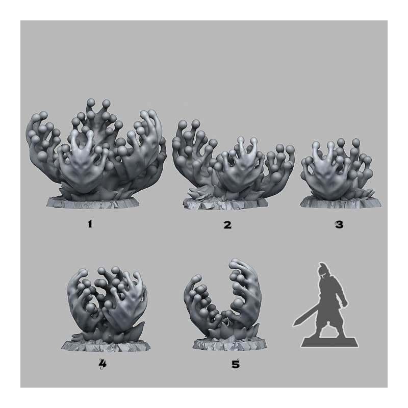 Fantastic Plants & Rocks -  