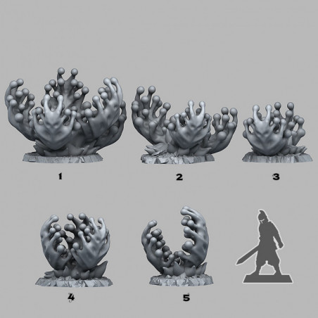 Fantastic Plants & Rocks -  