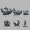 Fantastic Plants & Rocks -  