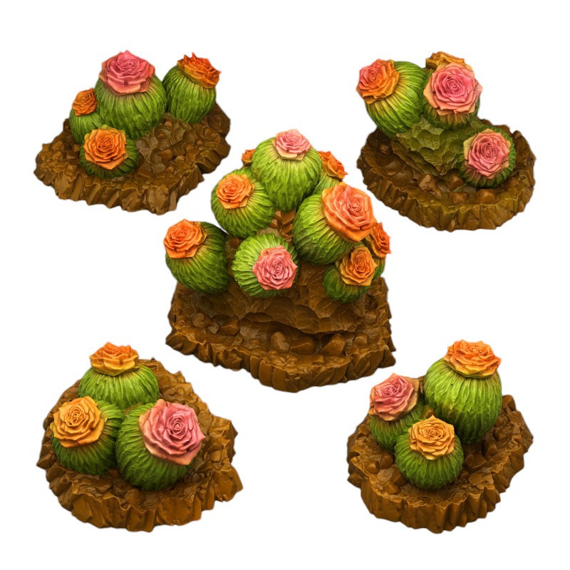 Fantastic Plants & Rocks -  