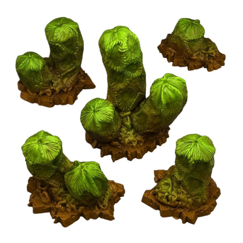 Fantastic Plants & Rocks -  