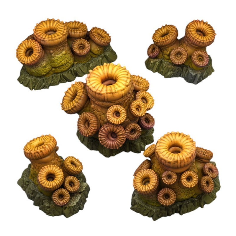 Fantastic Plants & Rocks -  