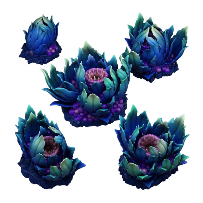 Fantastic Plants & Rocks -  
