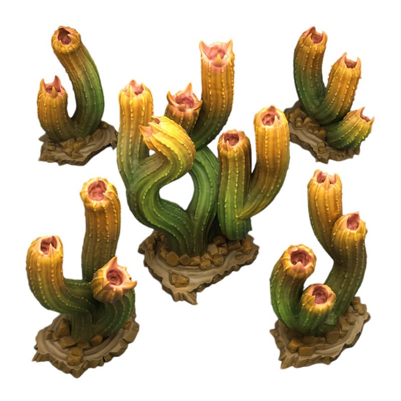 Fantastic Plants & Rocks -  