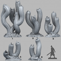 Fantastic Plants & Rocks -   (2)