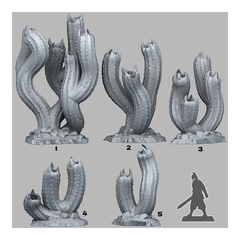 Fantastic Plants & Rocks -  