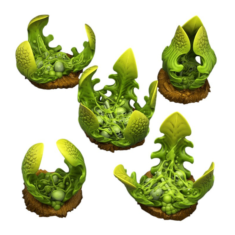 Fantastic Plants & Rocks -  