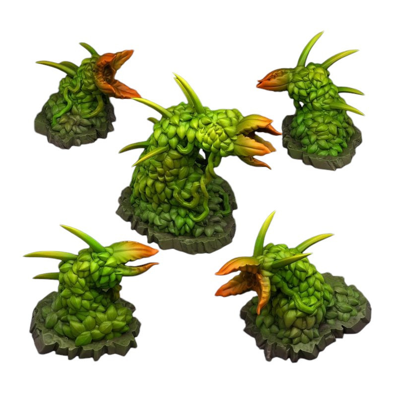 Fantastic Plants & Rocks -  