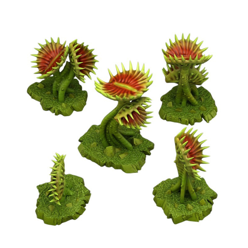 Fantastic Plants & Rocks -  