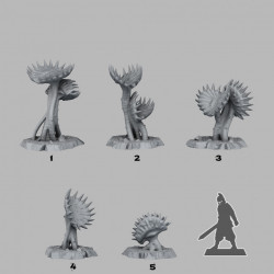 Fantastic Plants & Rocks -   (2)