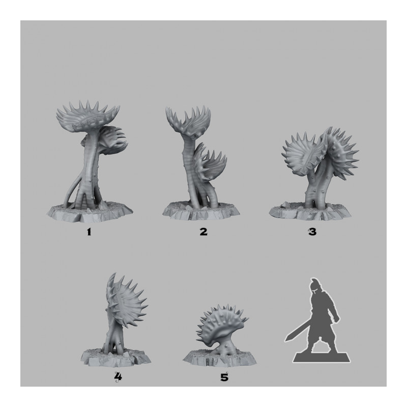 Fantastic Plants & Rocks -  