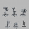 Fantastic Plants & Rocks -  