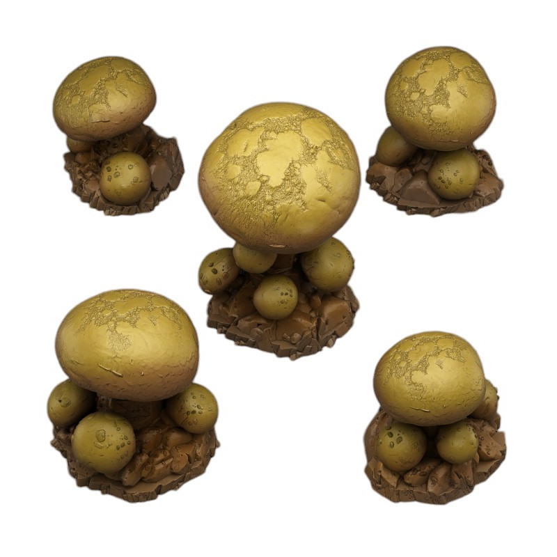 Fantastic Plants & Rocks -  