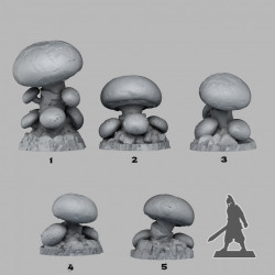 Fantastic Plants & Rocks -   (2)