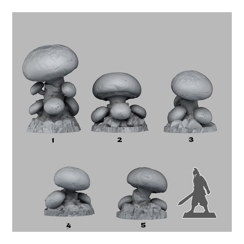 Fantastic Plants & Rocks -  