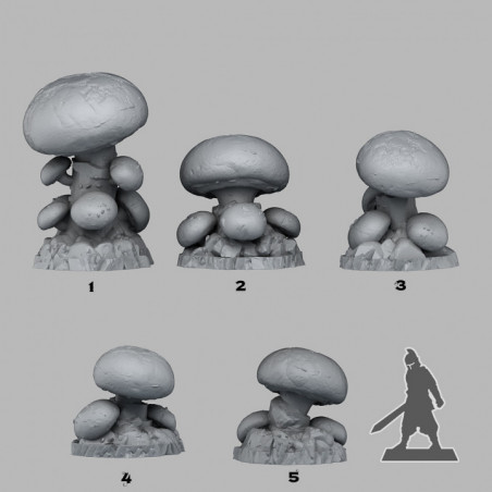 Fantastic Plants & Rocks -  