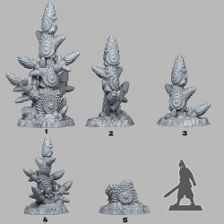 Fantastic Plants & Rocks -   (2)