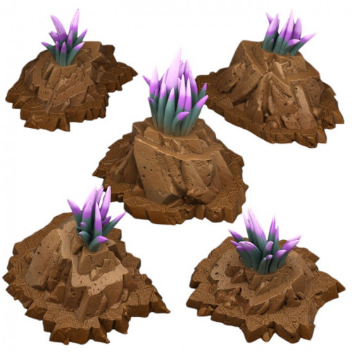 Fantastic Plants & Rocks -  