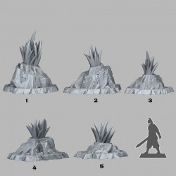 Fantastic Plants & Rocks -   (2)