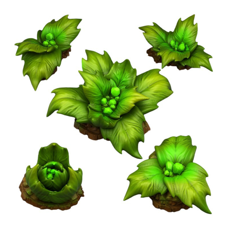 Fantastic Plants & Rocks -  