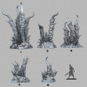 Fantastic Plants & Rocks -  