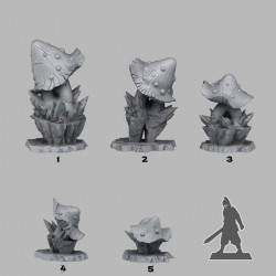 Fantastic Plants & Rocks -   (2)