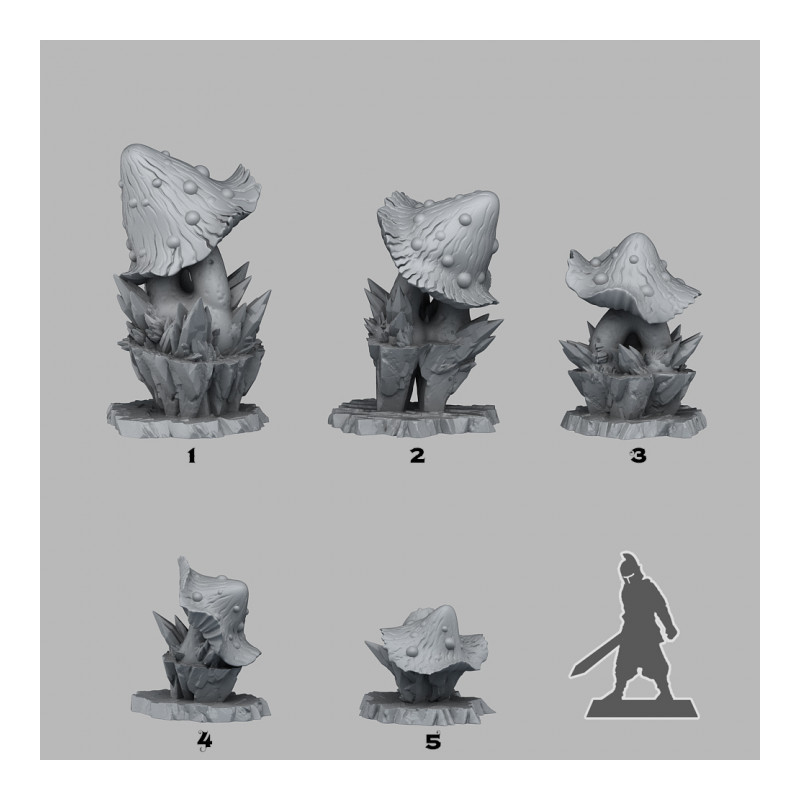 Fantastic Plants & Rocks -  