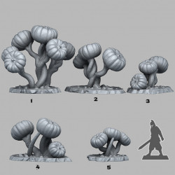 Fantastic Plants & Rocks -   (2)