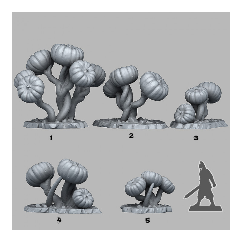 Fantastic Plants & Rocks -  